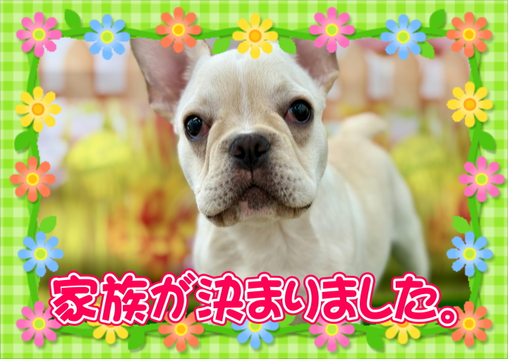 クリックすると拡大します