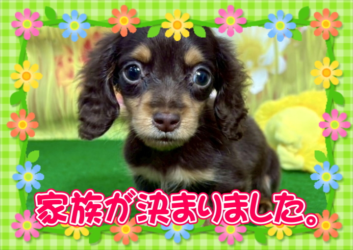 クリックすると拡大します