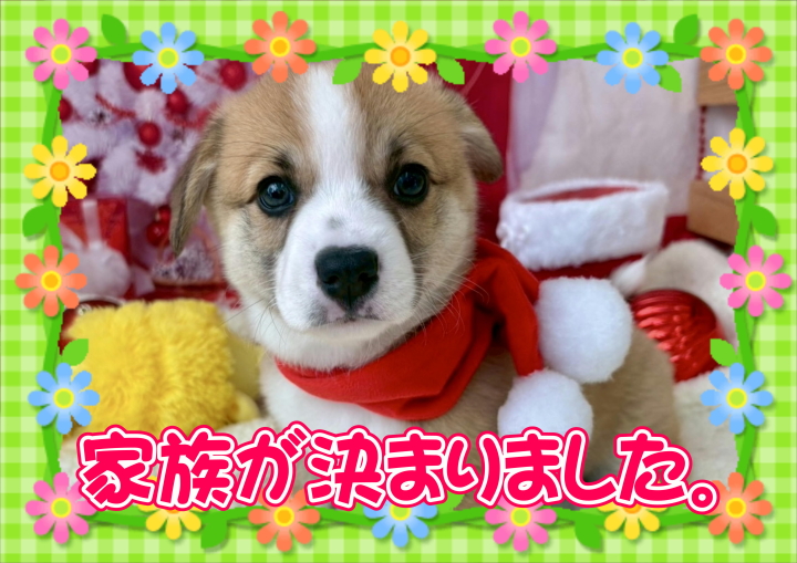 クリックすると拡大します