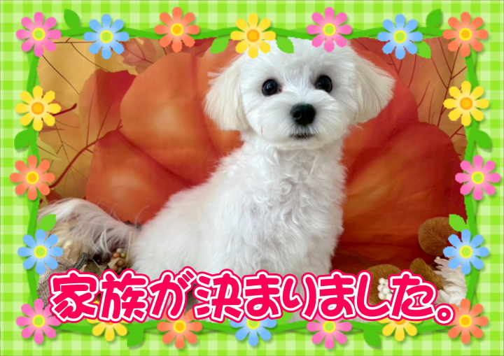 クリックすると拡大します