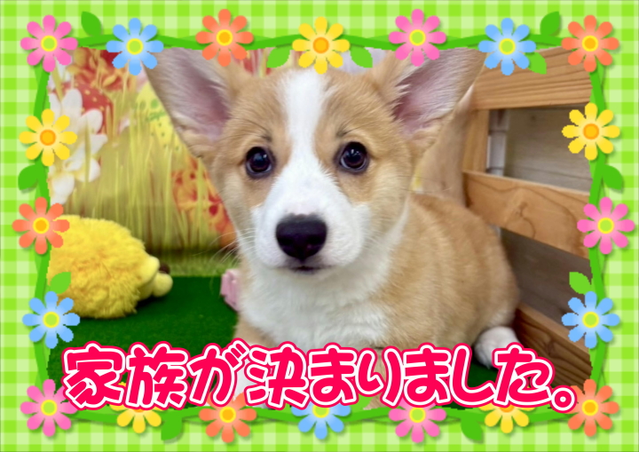 クリックすると拡大します