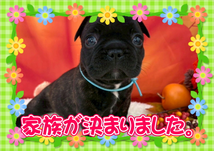 クリックすると拡大します