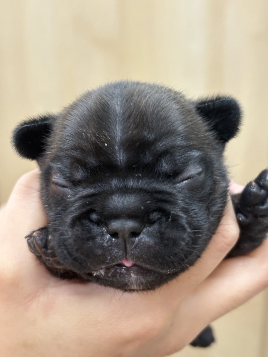 クリックすると拡大します