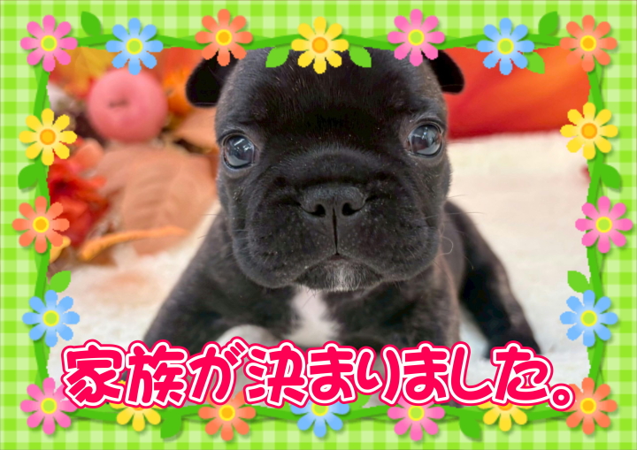 クリックすると拡大します