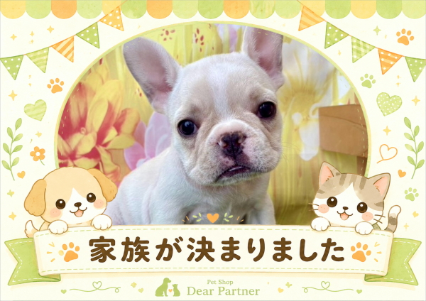 フレブル