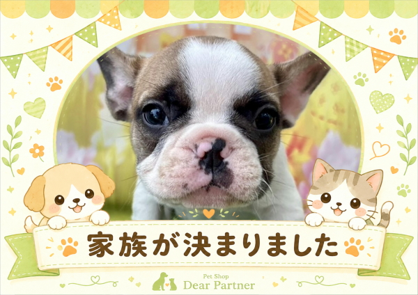 フレブル