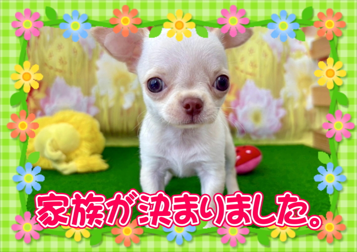 クリックすると拡大します