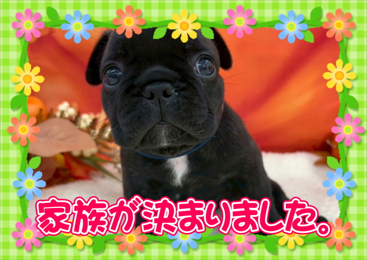 クリックすると拡大します