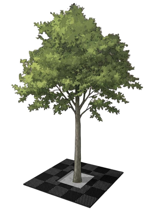 樹木保護盤イメージ