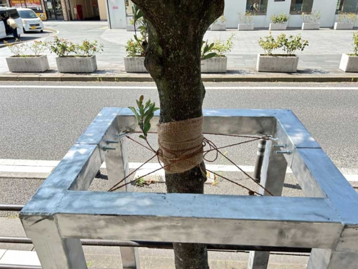 街路樹用金属支柱