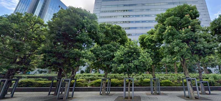 街路樹用金属支柱の活用例