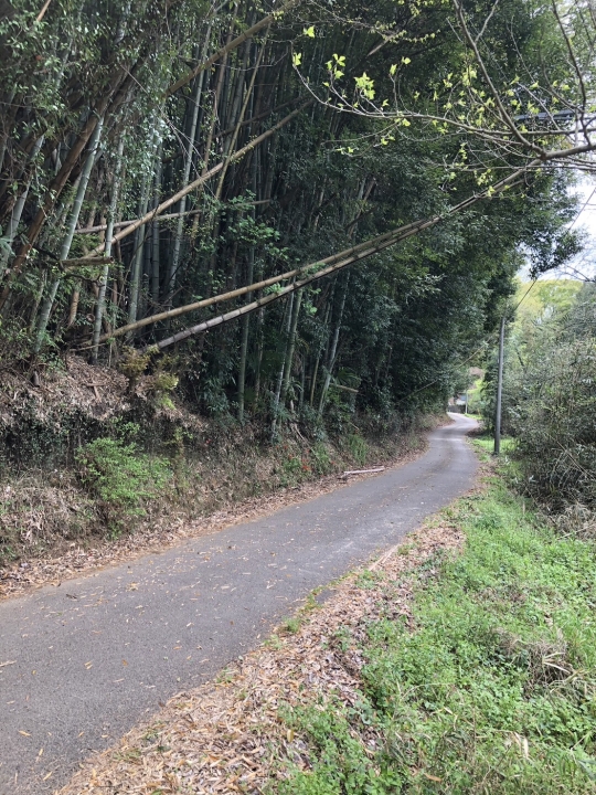 クリックすると拡大します