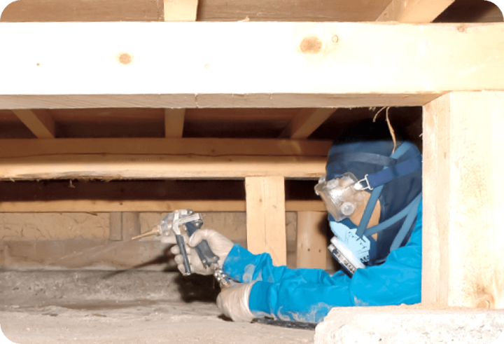 クリックすると拡大します