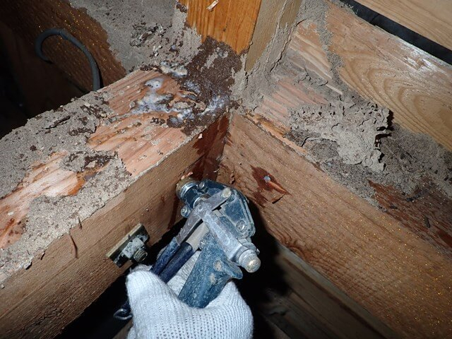 クリックすると拡大します