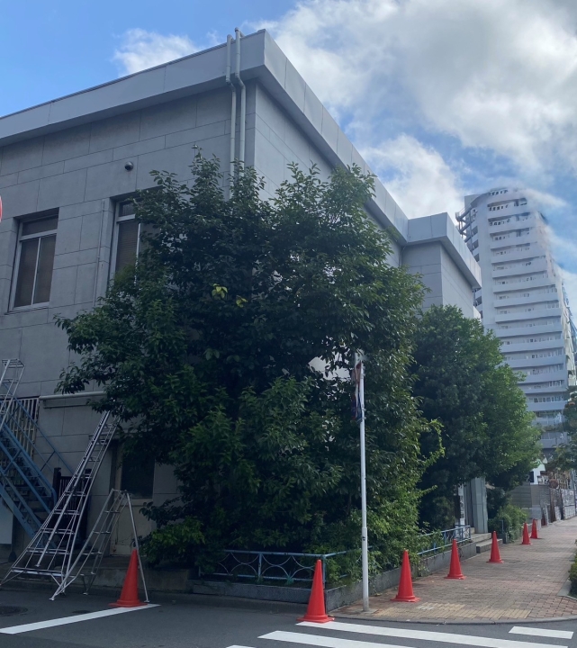 クリックすると拡大します