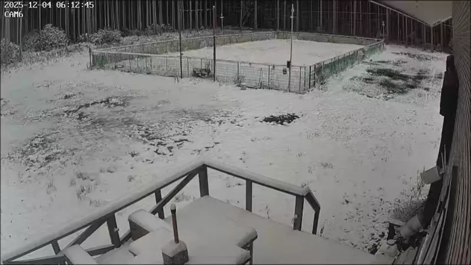 ブログアイコン