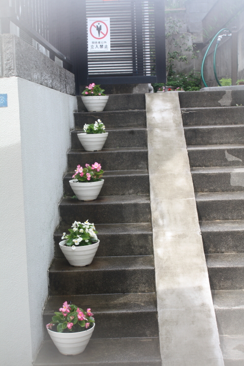 クリックすると拡大します