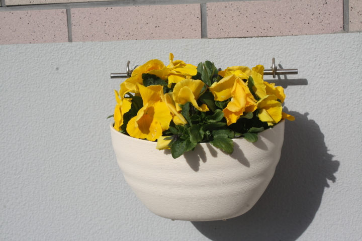 クリックすると拡大します