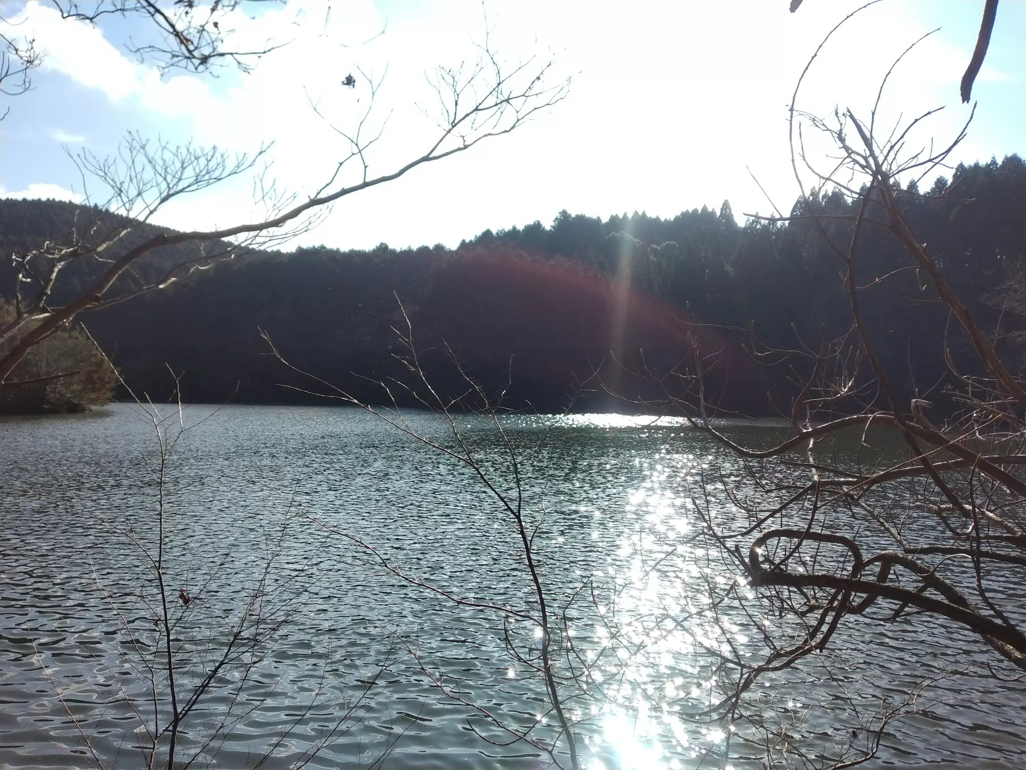 ブログアイコン