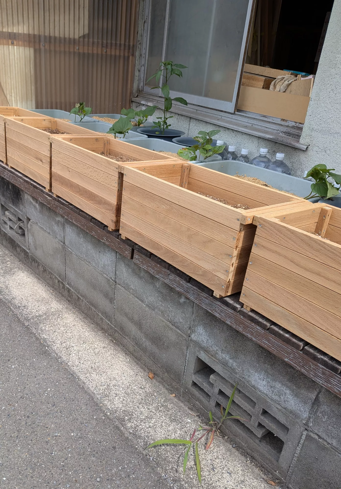 ブログアイコン