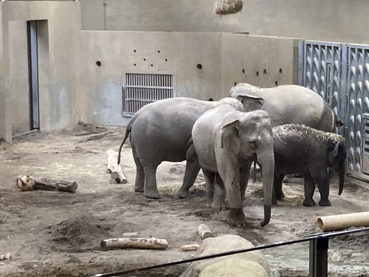 クリックすると拡大します