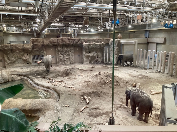 クリックすると拡大します