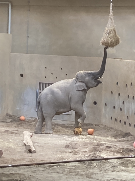 クリックすると拡大します