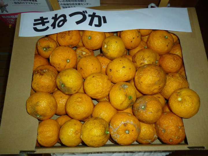 クリックすると拡大します