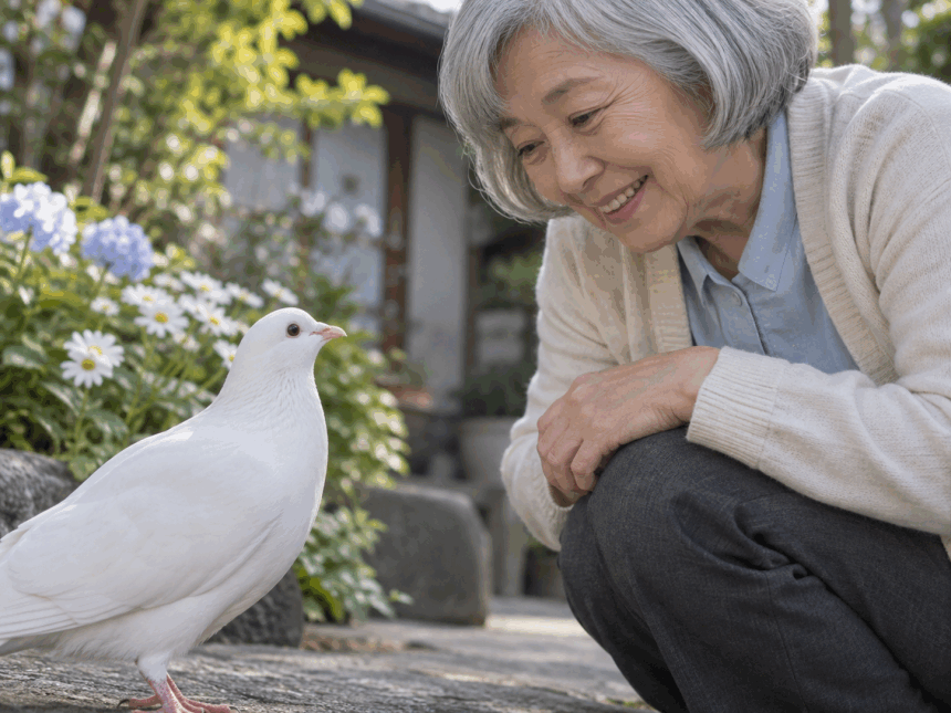 見つけた横顔 — 白い鳩しーちゃんの物語