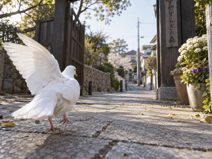 門の向こうへ — 白い鳩しーちゃんの物語