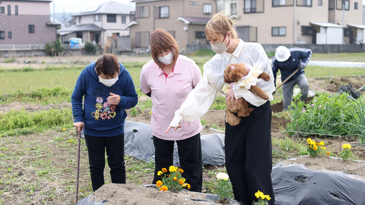 クリックすると拡大します