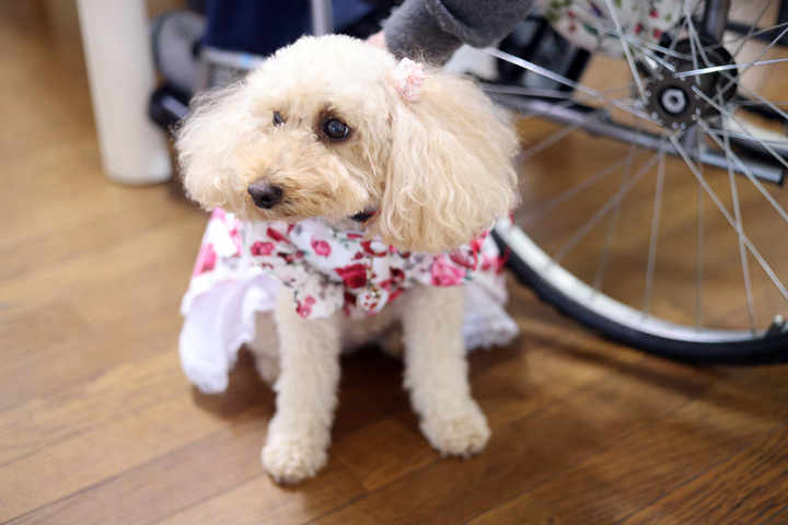 クリックすると拡大します