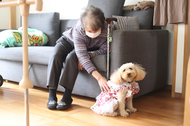 クリックすると拡大します