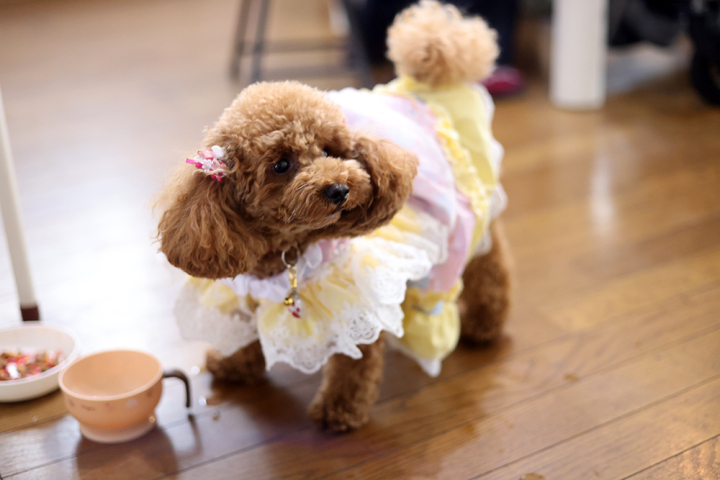 クリックすると拡大します