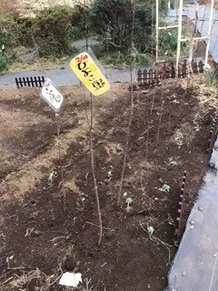 ブログアイコン