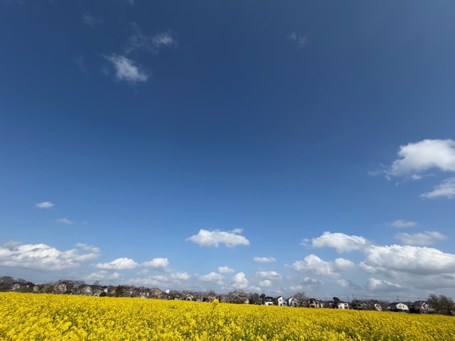 クリックすると拡大します