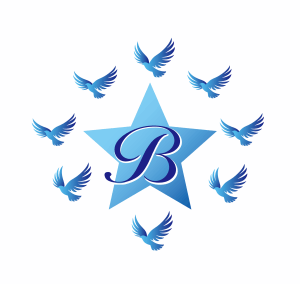 合同会社 Bluebird ケアサービス・ブルーバード