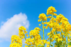 ◎株式会社エッグ◎
福祉用具レンタル
介護用品販売　住宅改修