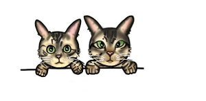 合同会社シュポール