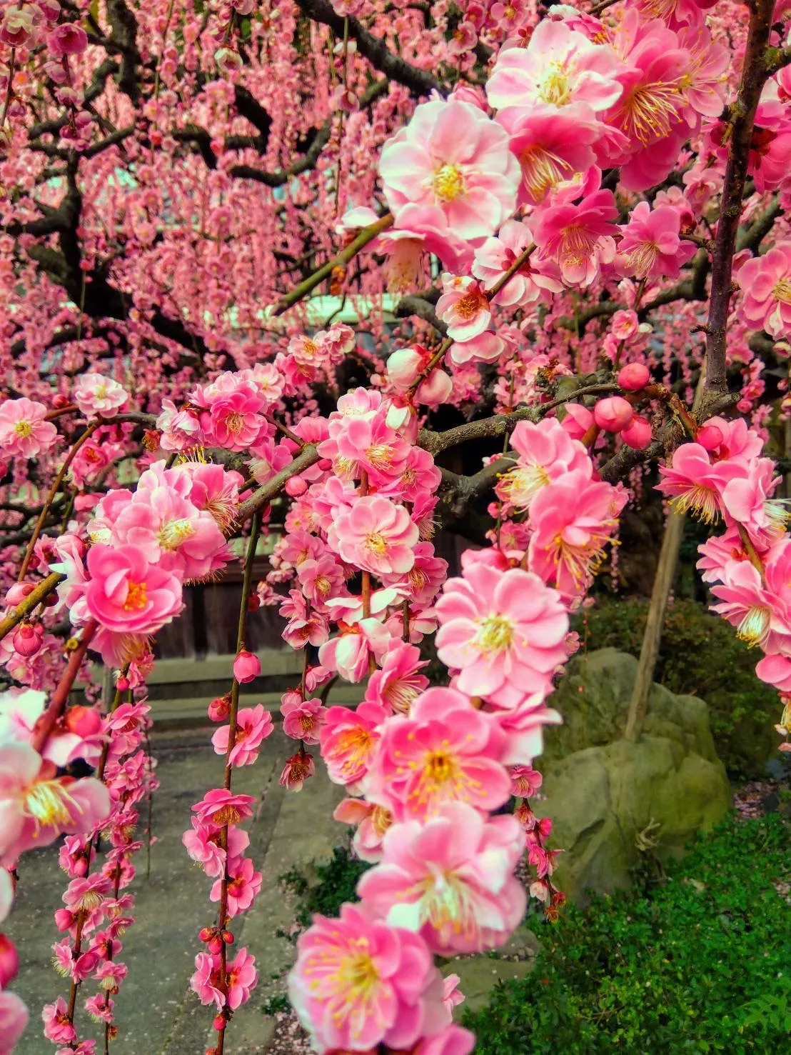 ブログアイコン