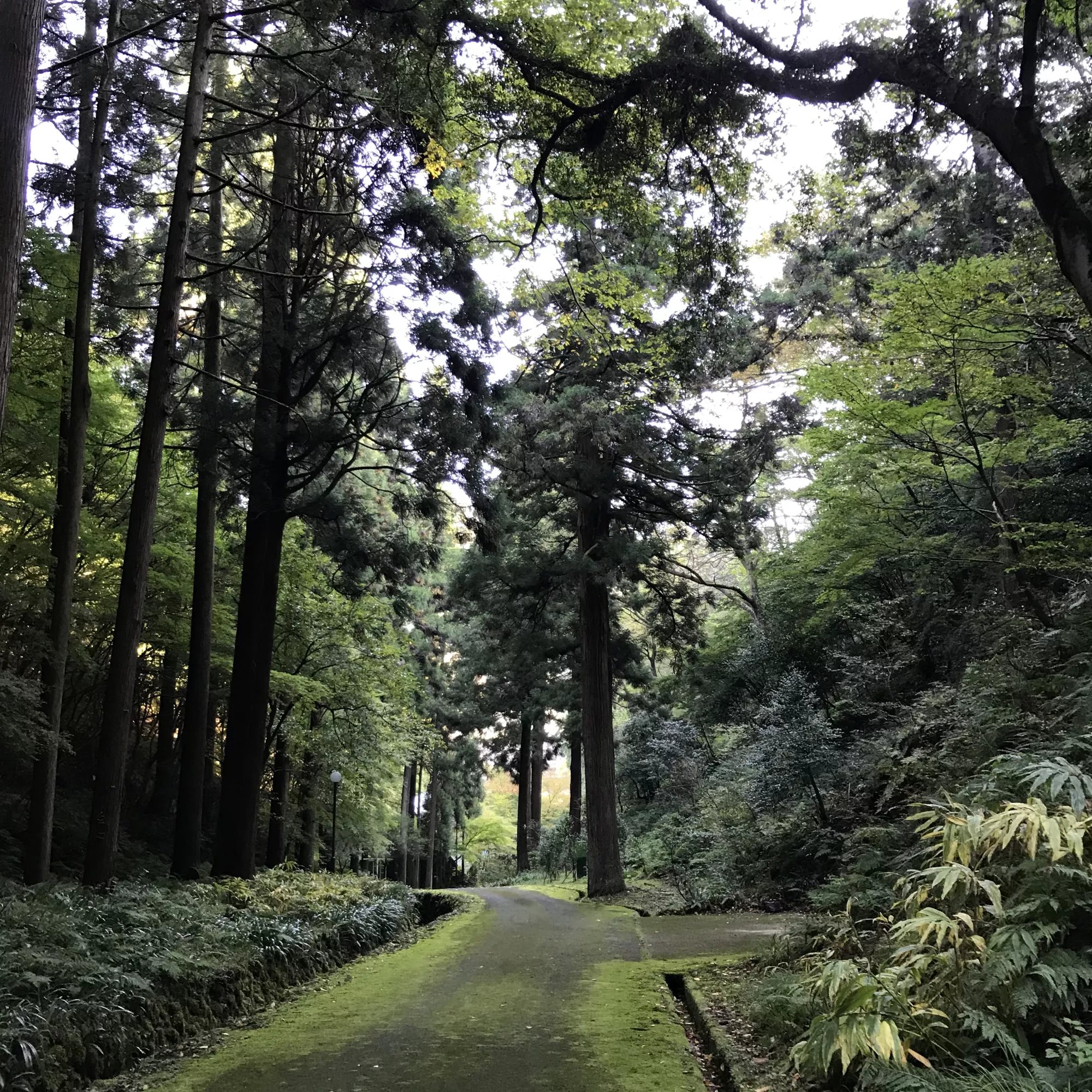 ブログアイコン