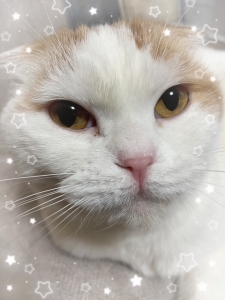 ケアプランセンター空音