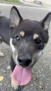 合同会社えん
道のケアプランセンター