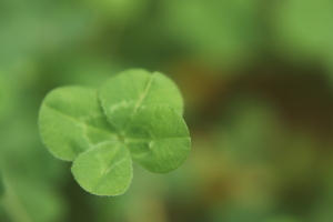 お悩み相談　オンラインカウンセリングルーム ひろ　（福島県郡山市）