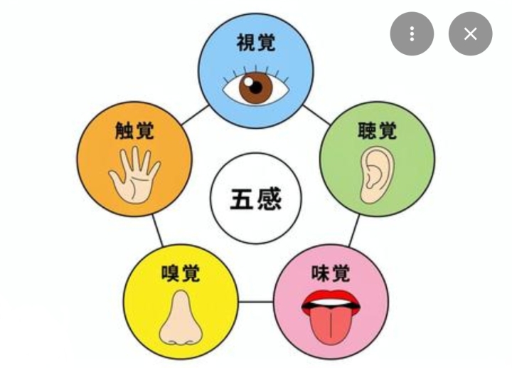 クリックすると拡大します