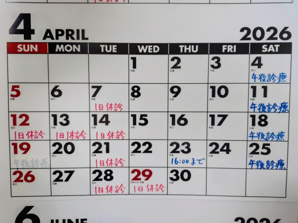 アップロード画像