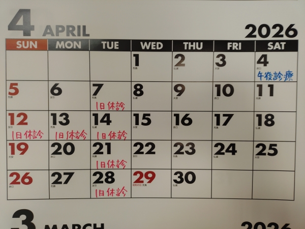 アップロード画像