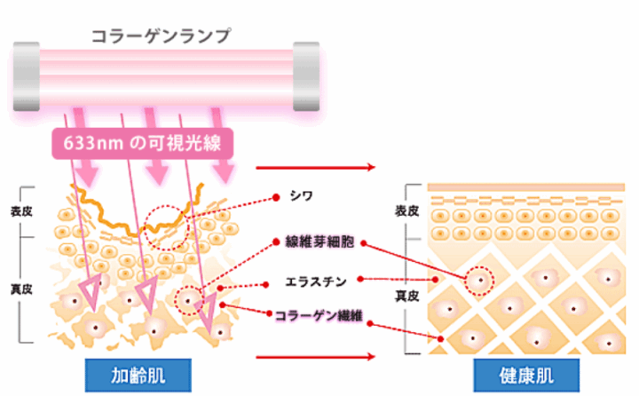 クリックすると拡大します