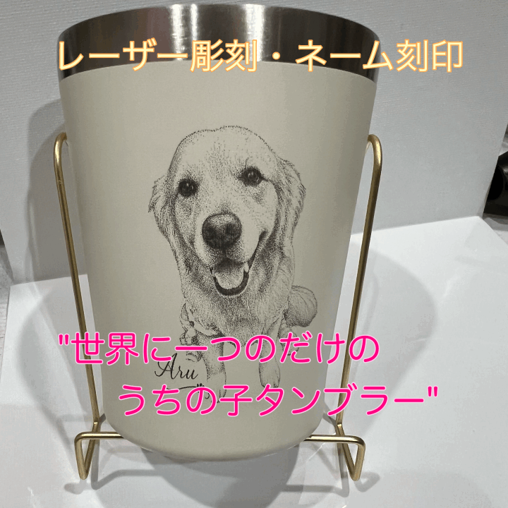 クリックすると拡大します
