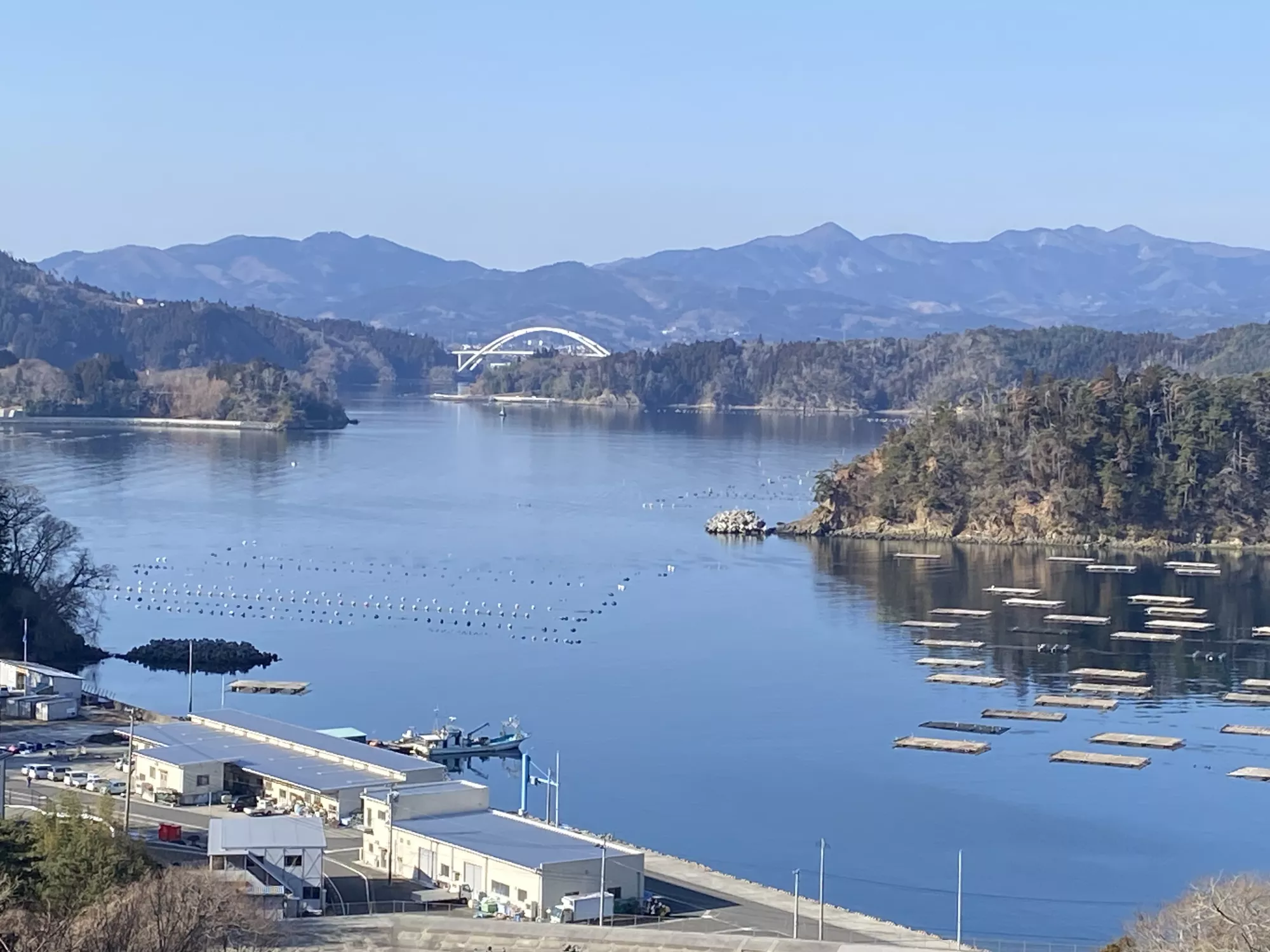 ブログアイコン